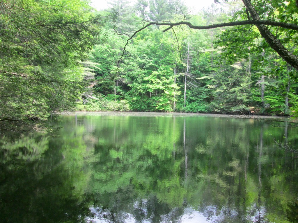 View of Monks Pond